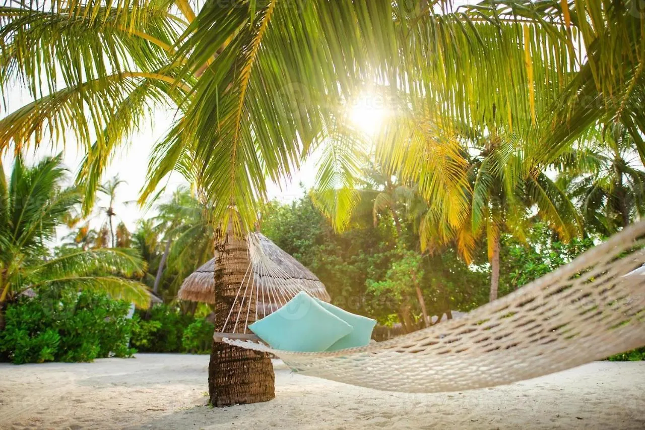 Campsite Voluntary & Camping Cozumel Mexico