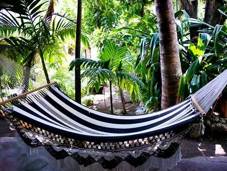 Voluntary & Camping Cozumel 0*,