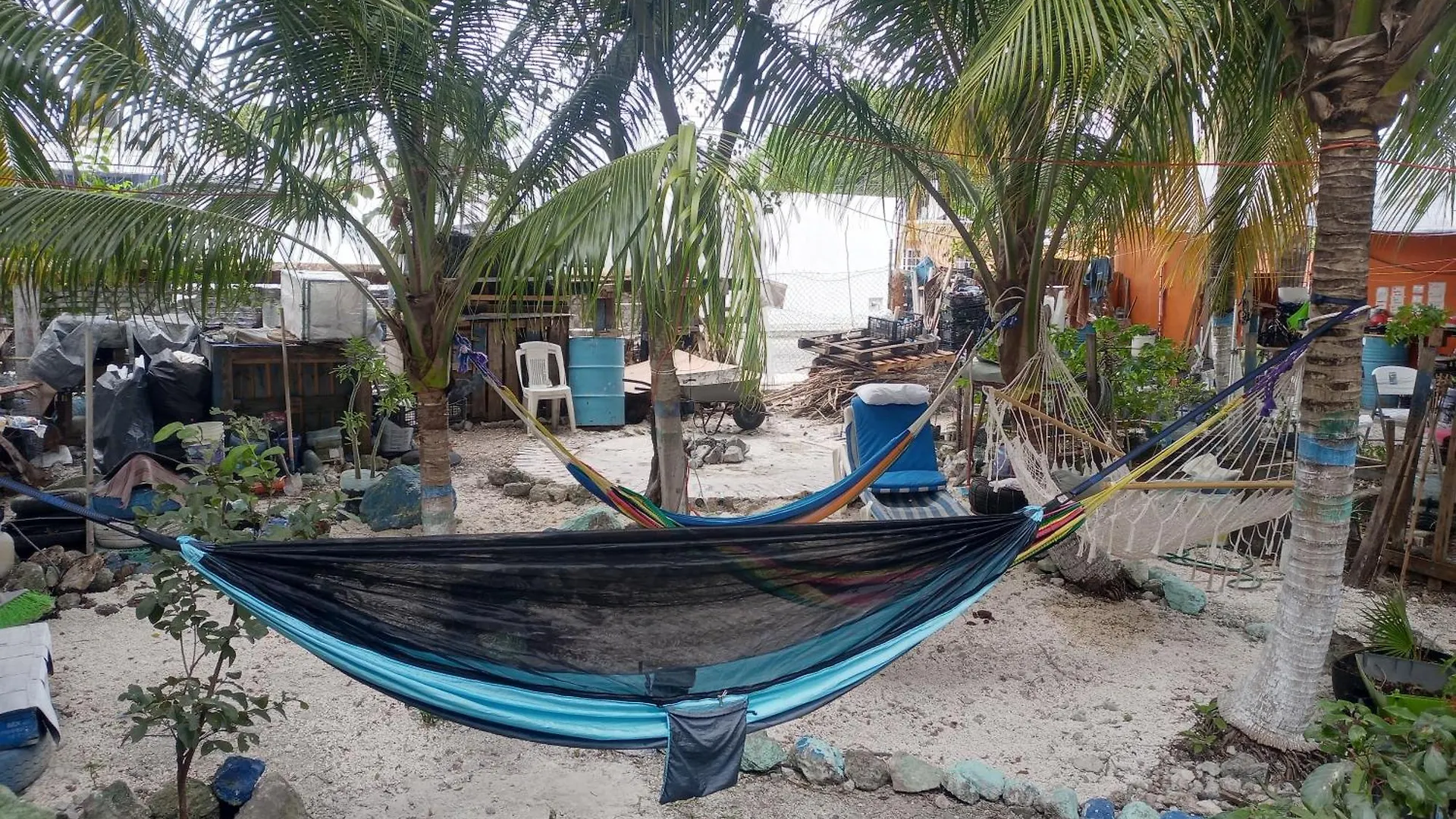 Voluntary & Camping Cozumel Campsite